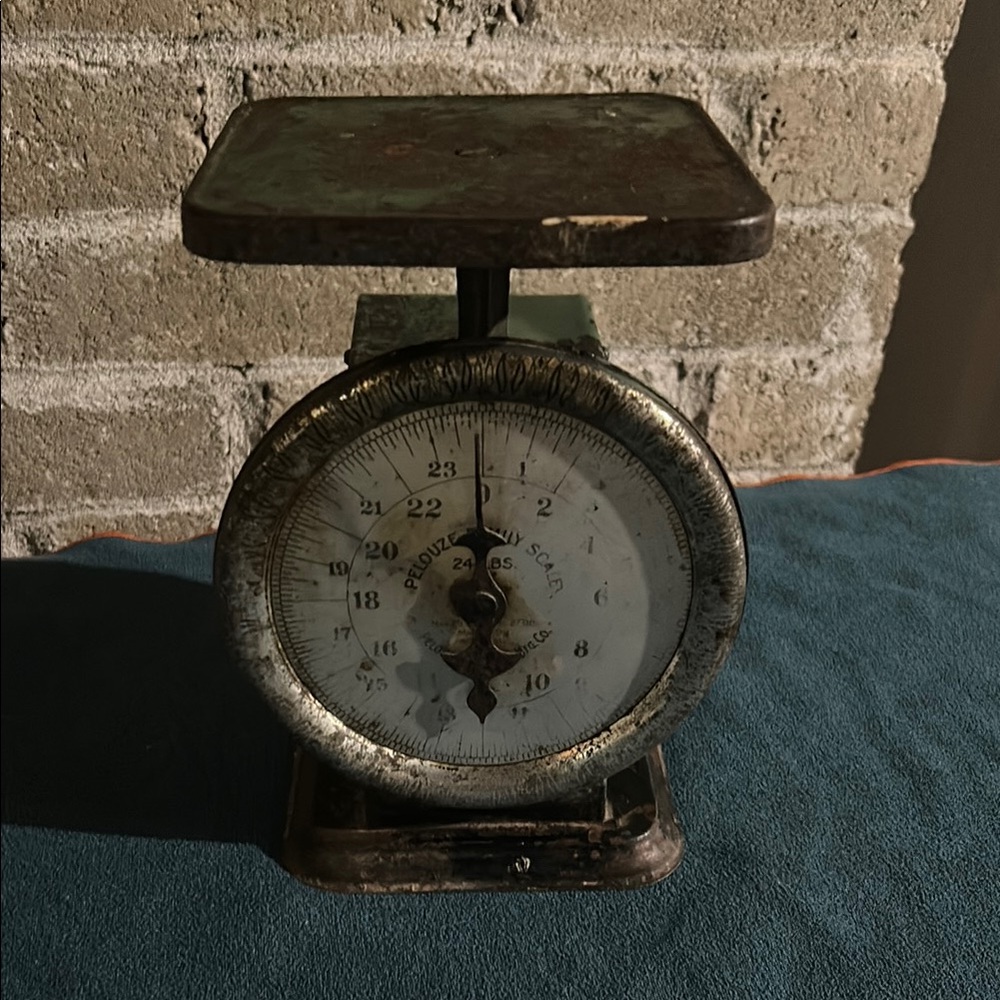 Vintage pelouze family scale Metal Kitchen Scale